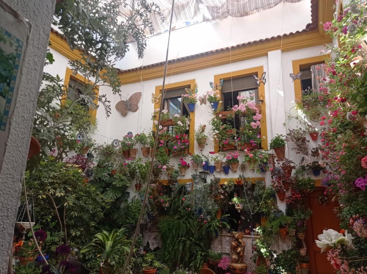Patio Pozanco Villa Cordoba Exterior photo